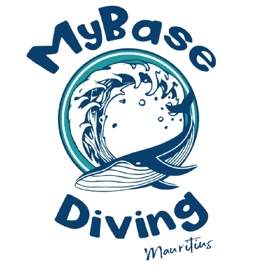 Logo 6