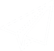 plane icon button
